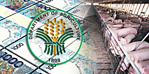 baboy money Department of Agriculture