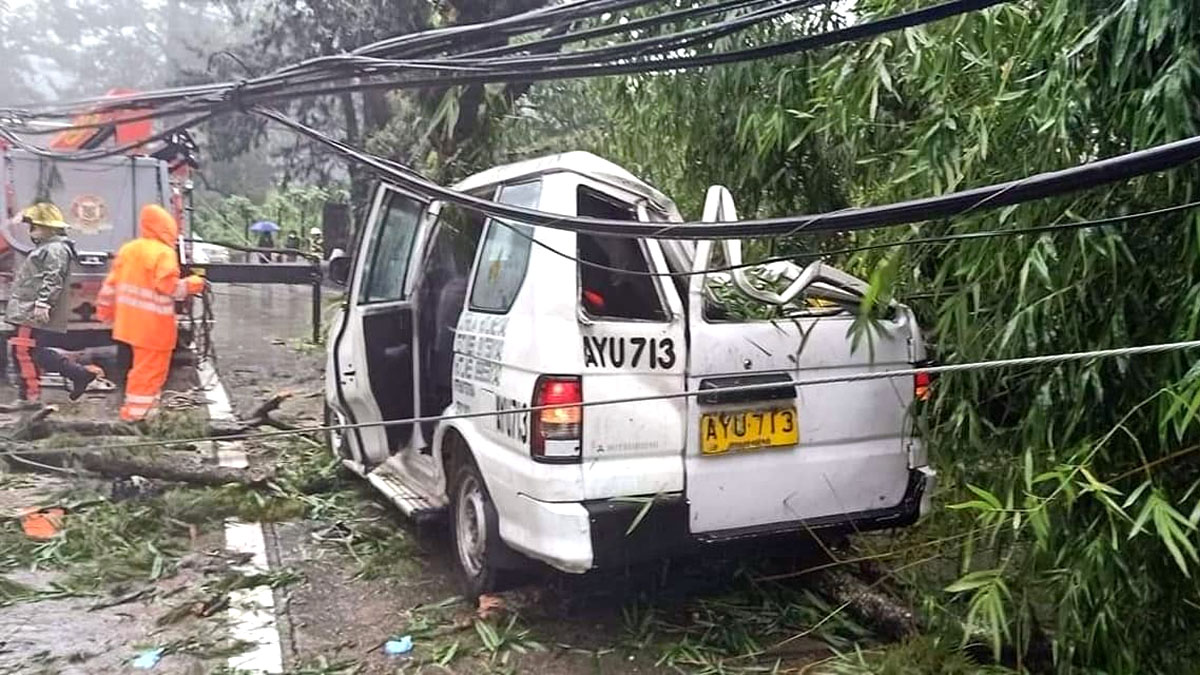 Taxi nabagsakan ng Pine tree (1 patay, 2 sugatan sa Baguio)