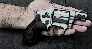cal 38 revolver gun