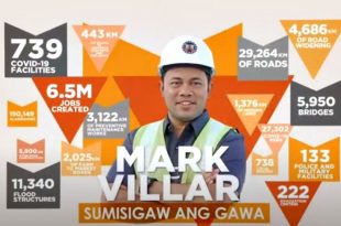 Mark Villar