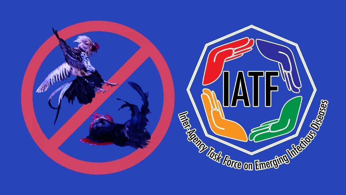 Sabong IATF