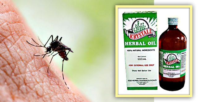 Krystall Herbal Oil, mosquito bite, Kagat ng lamok