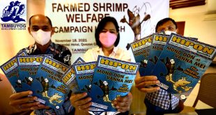 Tambuyog Development Center Farmed shrimp welfare campaign