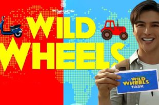 Teejay Marquez Wild Wheels