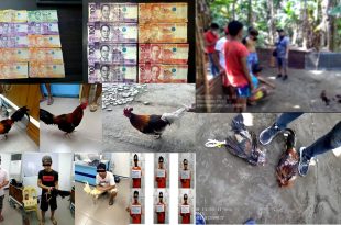 36 suspek arestadosa anti-illegal gambling ops ng Laguna PNP