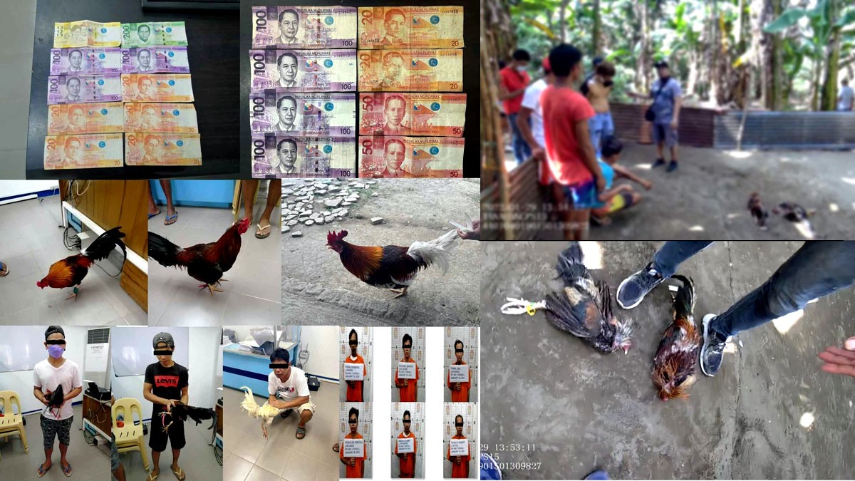 36 suspek arestadosa anti-illegal gambling ops ng Laguna PNP