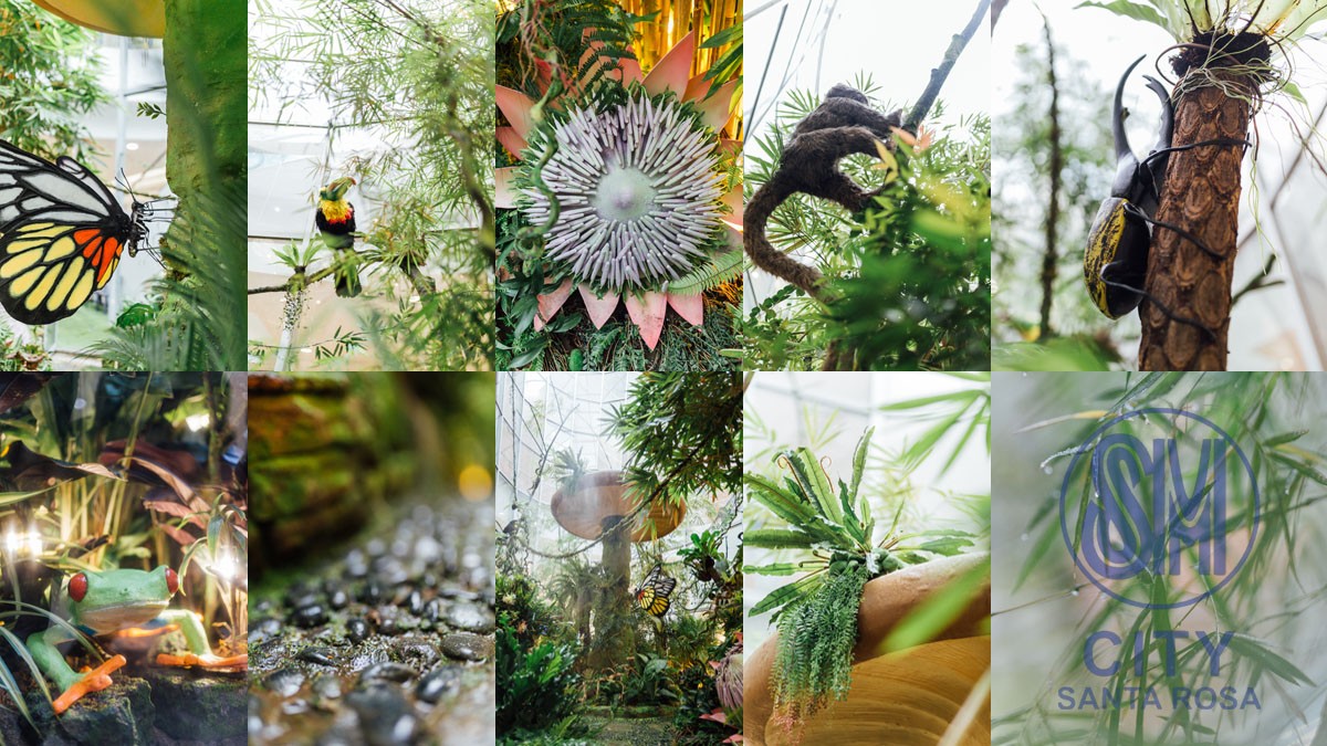 The Rainforest of SM City Santa Rosa