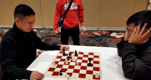 Donato Gamaro Chess