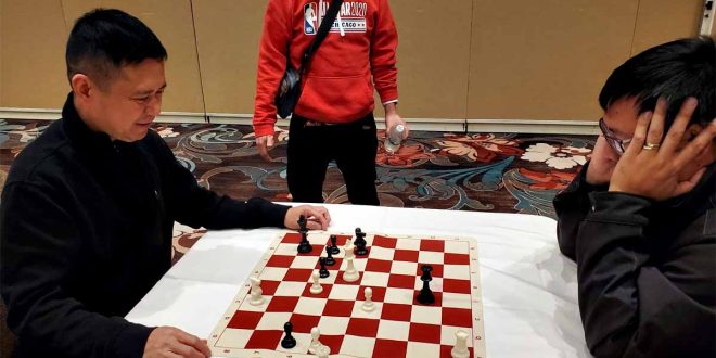 Donato Gamaro Chess