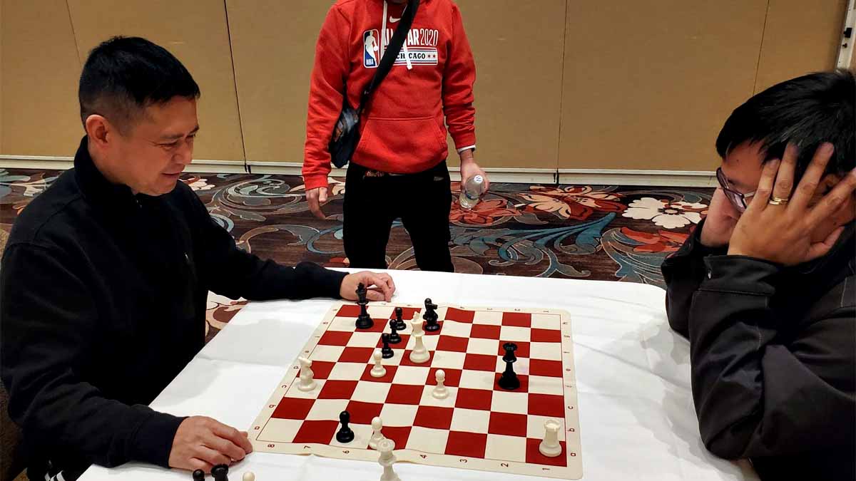 Donato Gamaro Chess