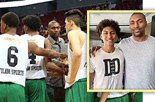 Jeron Artest Ron Artest