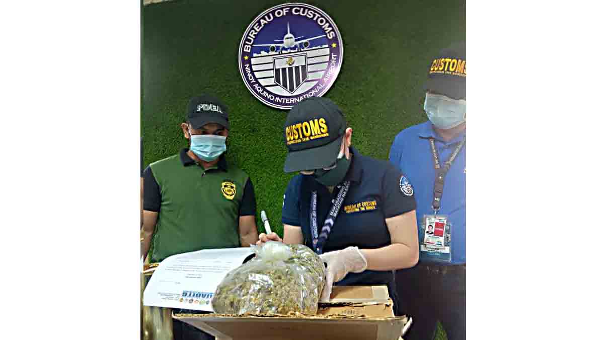 P1.2-M kush & liquid Marijuana nasabat ng BoC - Port of NAIA