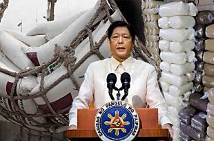 Bongbong Marcos BBM Sugar