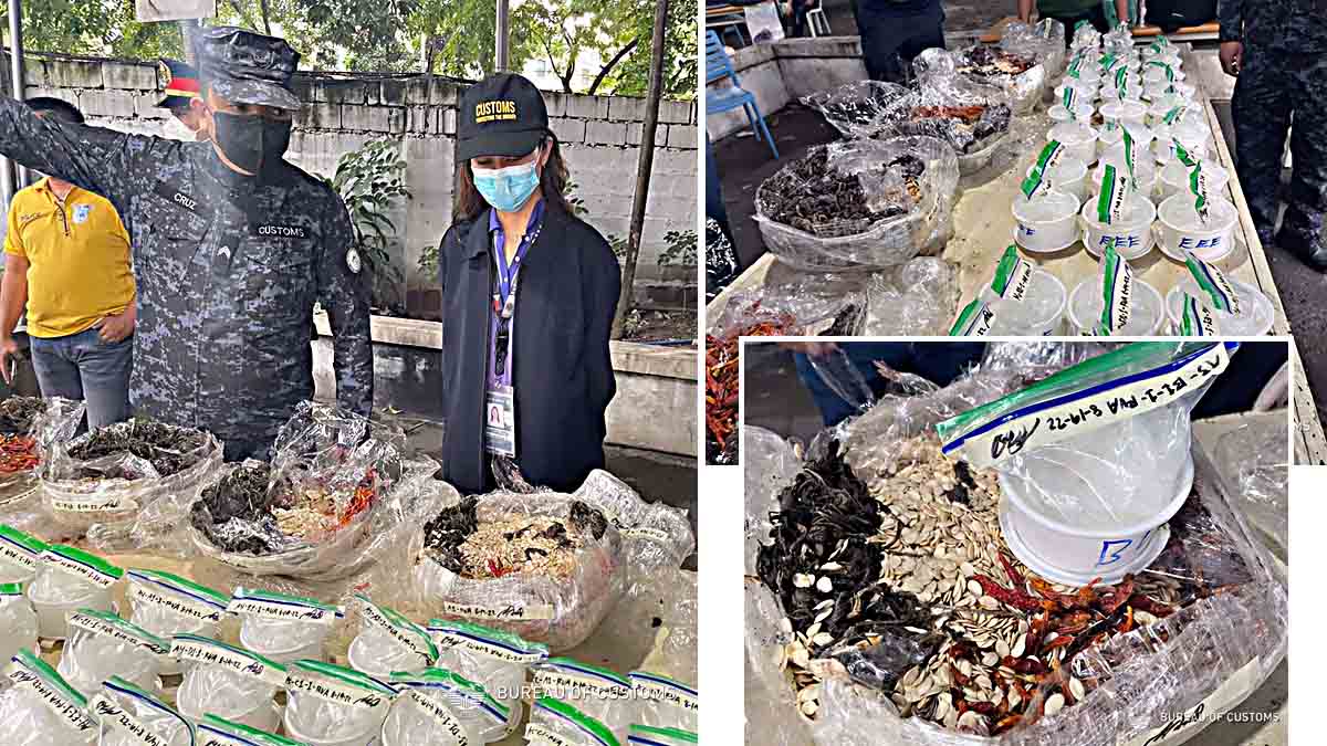 P53.31-M drug shipment nasabat ng NAIA inter-agency team