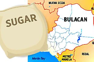 Bulacan Sugar