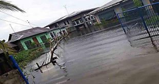 Baha Calumpit Hagonoy Bulacan