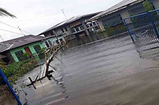 Baha Calumpit Hagonoy Bulacan