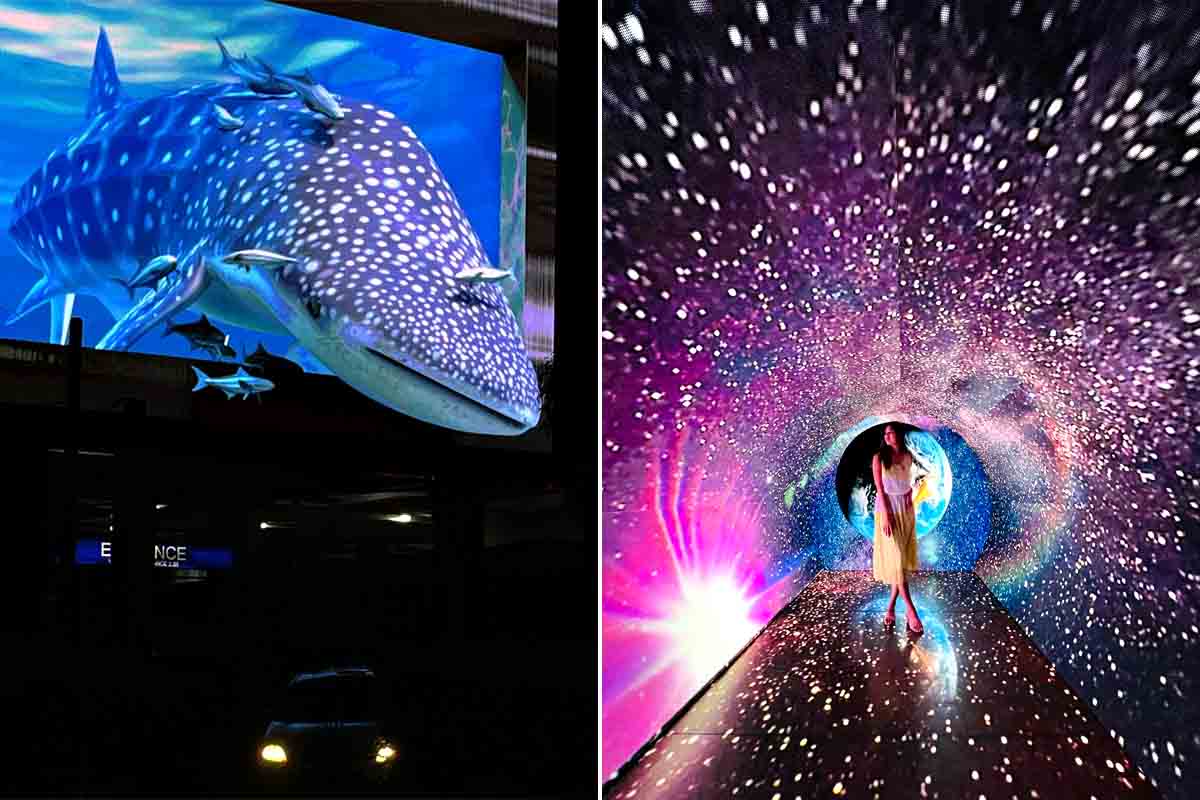 SM Supermalls 3D Whale Shark Space Tunnel 2