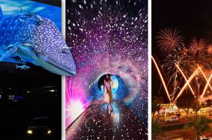 SM Supermalls 3D Whale Shark Space Tunnel