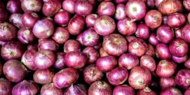 Sibuyas Onions