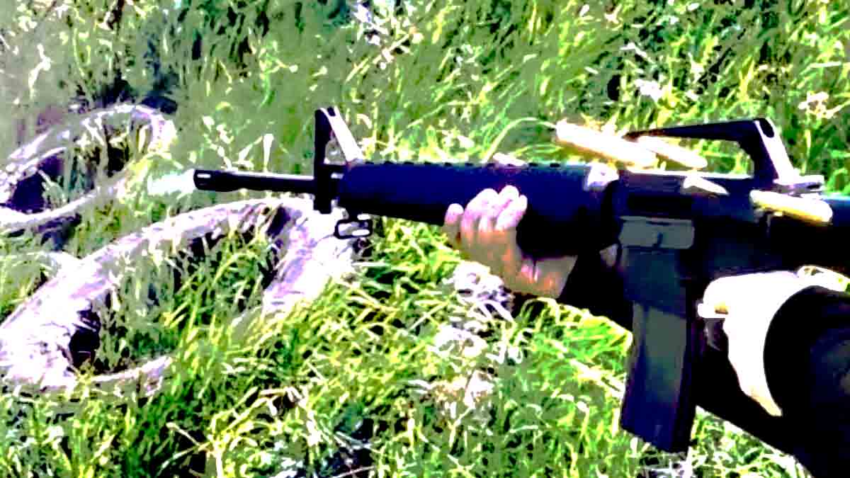 Gun M16 Rifle