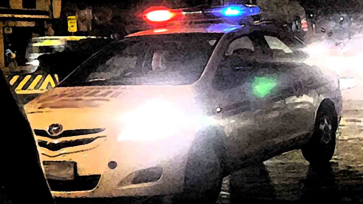 Police Car