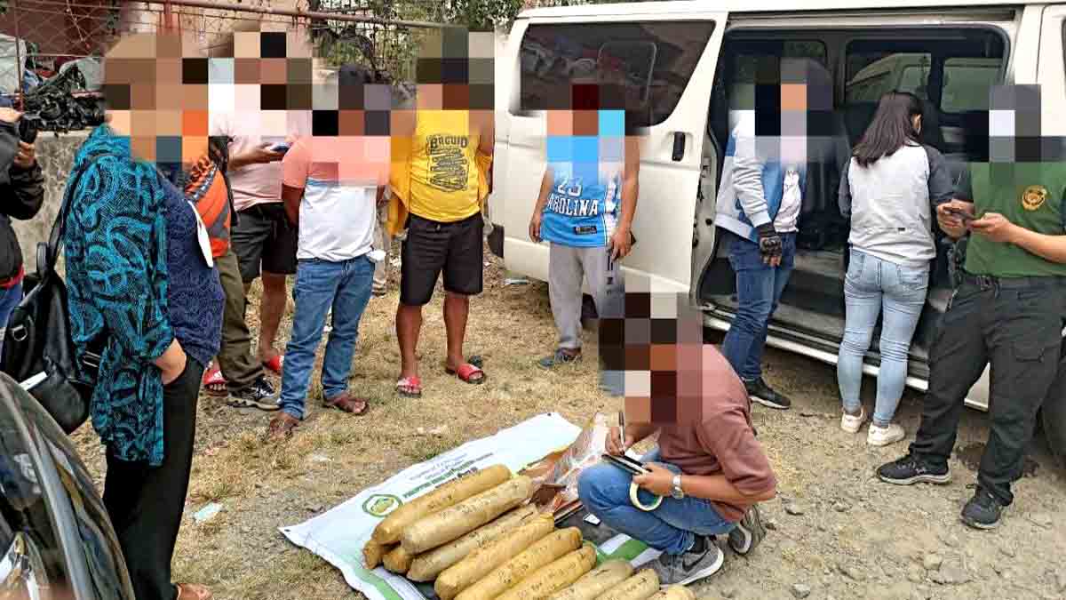 Distributor ng bulto-bultong Marijuana sa Bulacan nasakote sa Benguet
