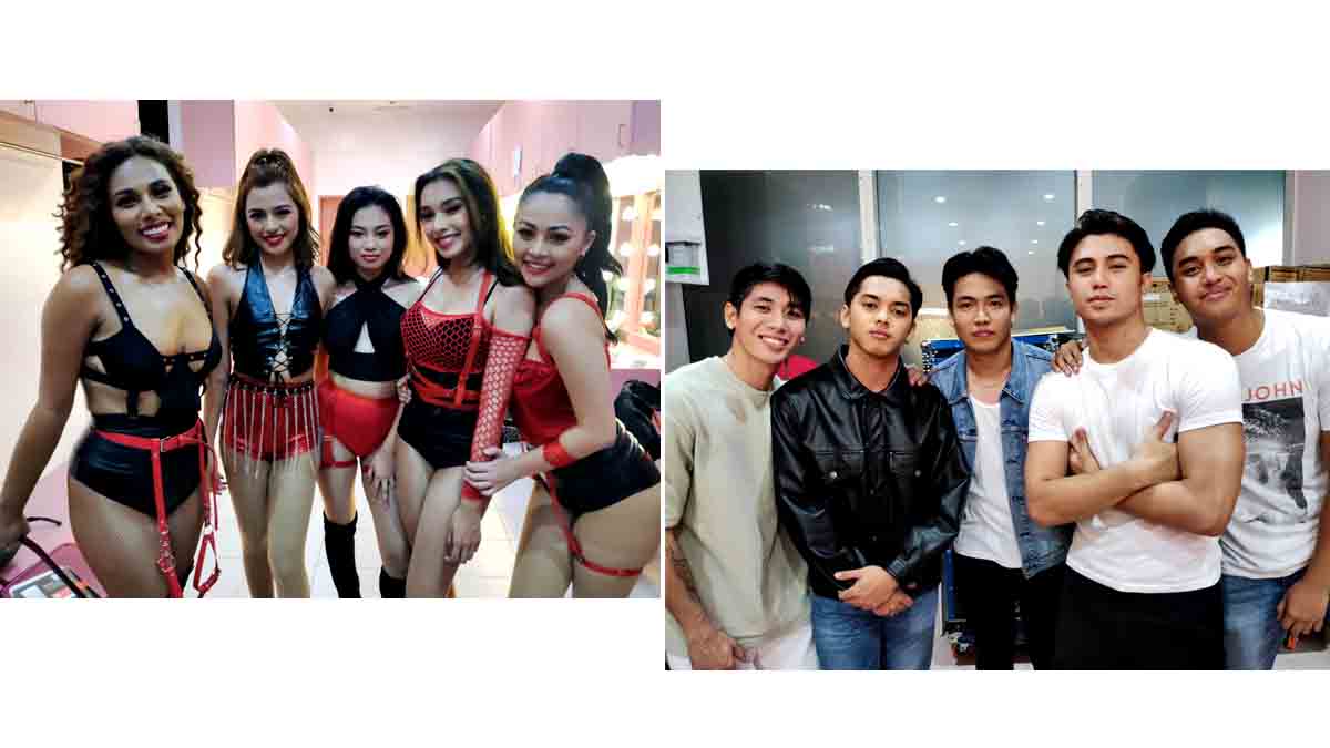 VMX Bellas VMX V Viva Cafe