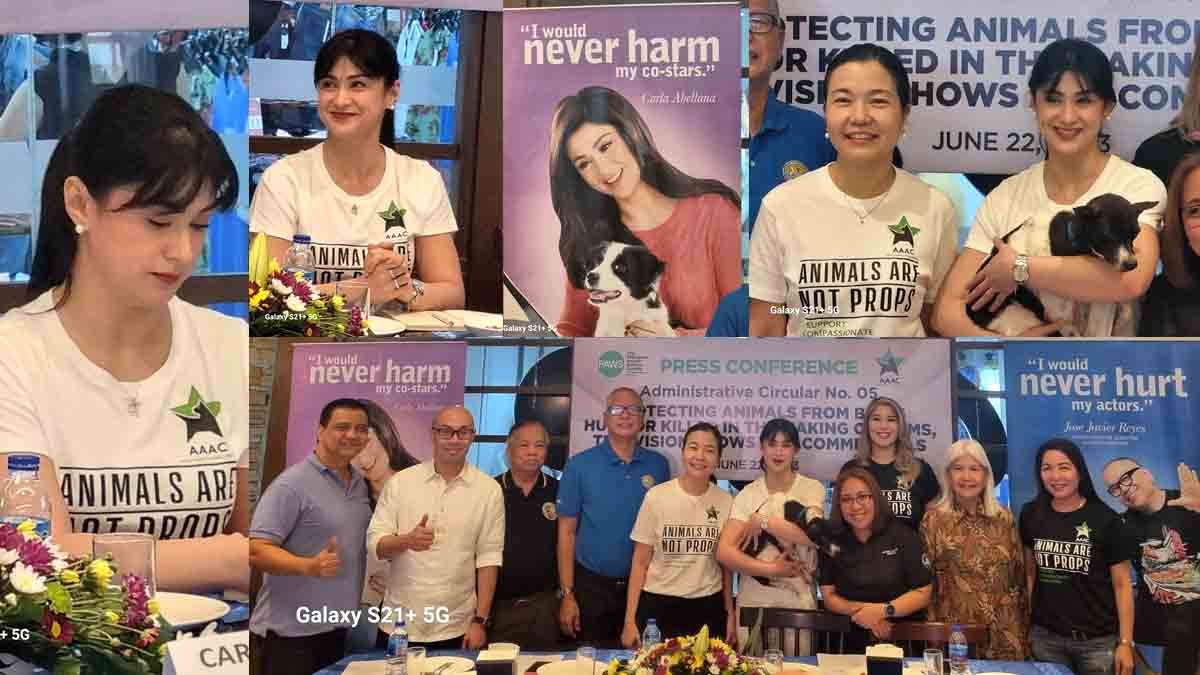 Carla Abellana PAWS