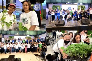 KSK SAP Urban Gardening SM North EDSA