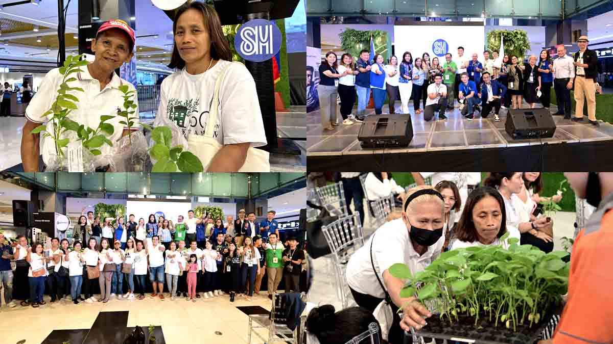 KSK SAP Urban Gardening SM North EDSA