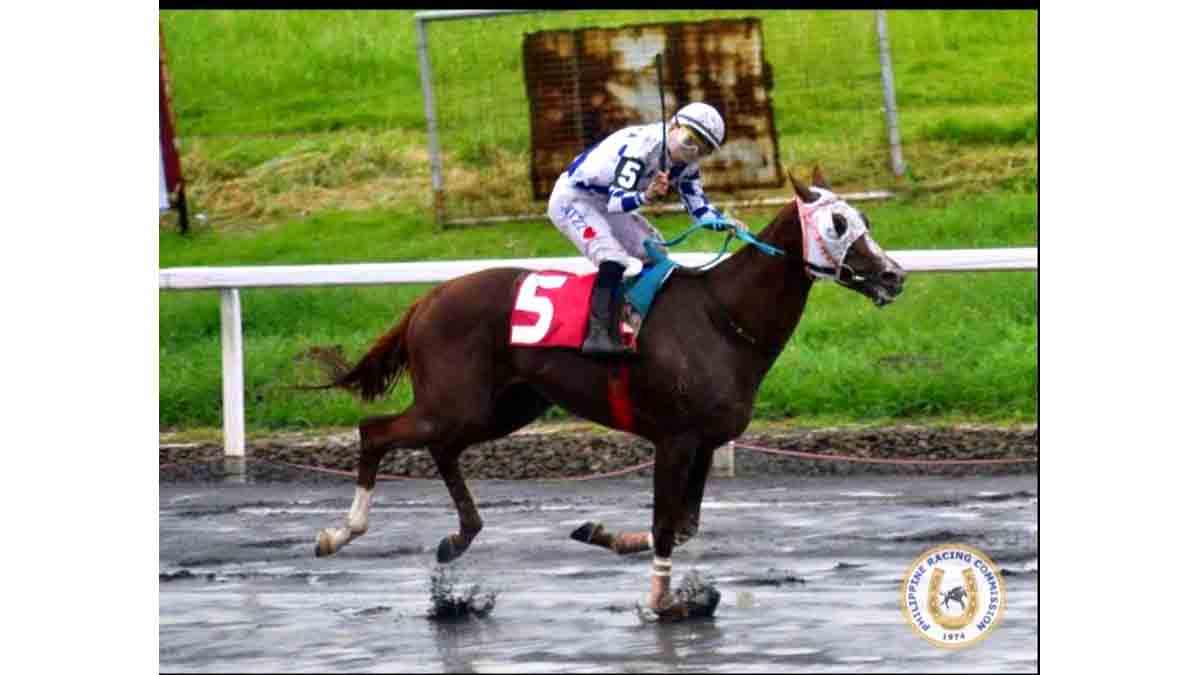Jaguar Triple Crown Third Leg