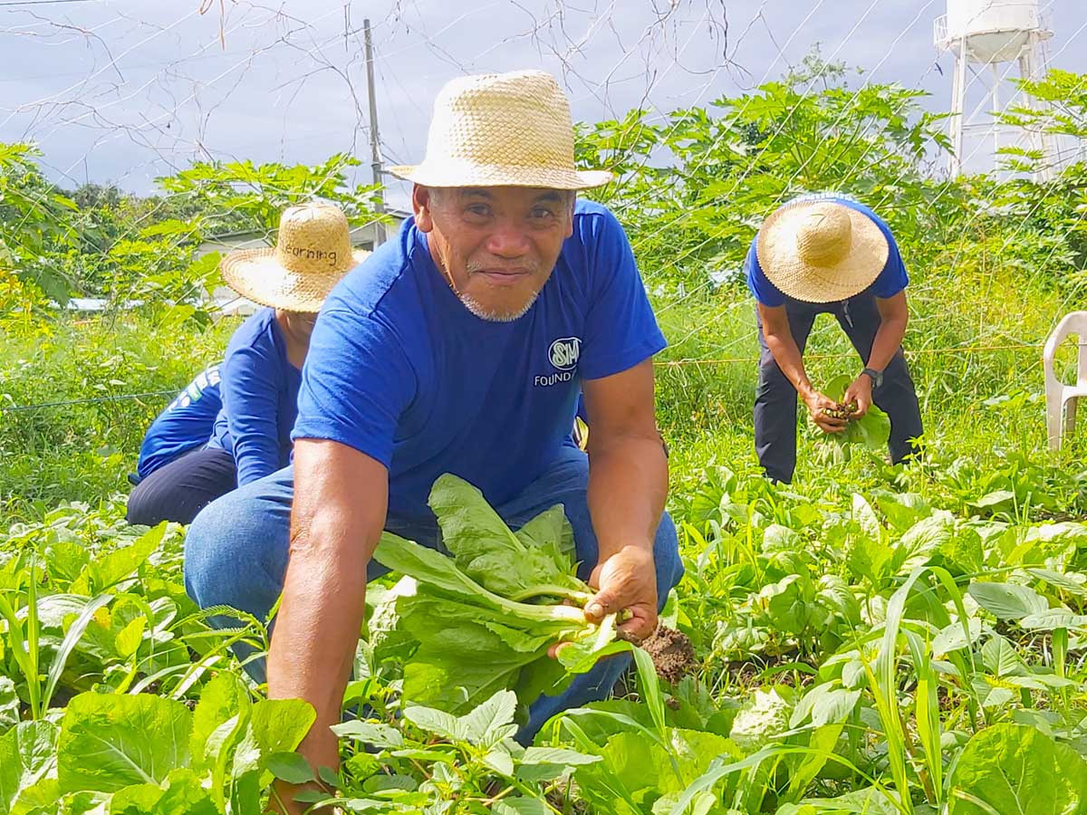 SM agripreneurs Laguna Harvest Festival