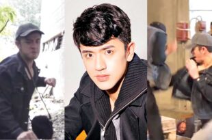 David Licauco fighting