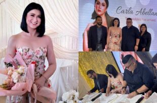 Carla Abellana All Access to Artists AAA