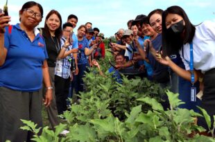 SMFI 1 KSK-Tanza, Cavite, Harvest Festival