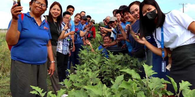 SMFI 1 KSK-Tanza, Cavite, Harvest Festival