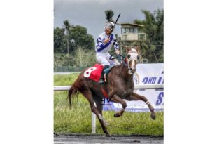 Jaguar nangunguna sa PHILRACOM-PCSO Grand Derby Feat