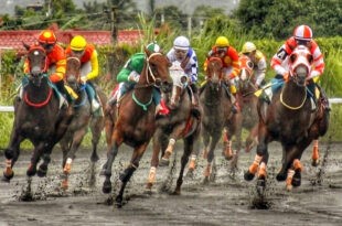 Bea Bell ungos sa Philracom Juvenile Stakes Leg 2
