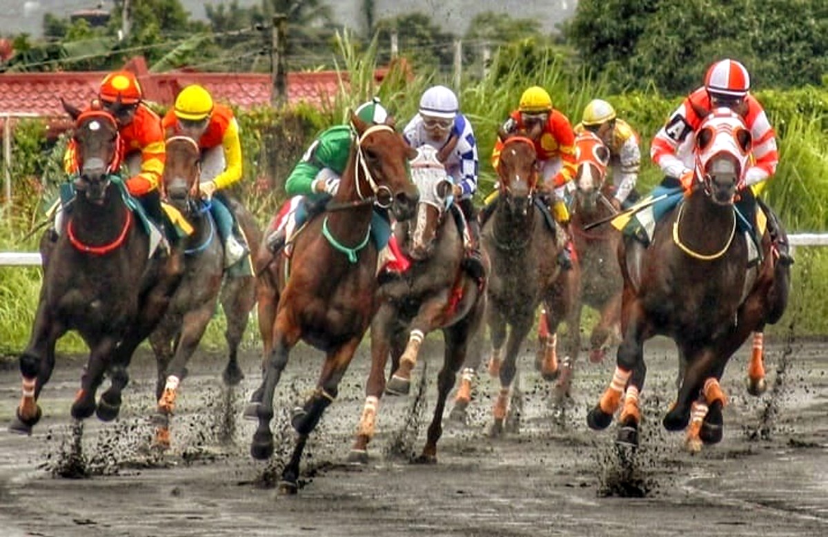 Bea Bell ungos sa Philracom Juvenile Stakes Leg 2