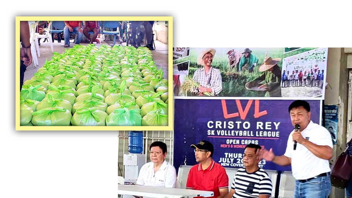 Dante Marcoleta Denorado Bigas P35