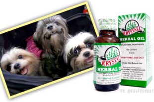 Krystall Herbal Oil Dogs Puppies Fur Babies