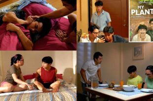 Kych Minemoto Michael Ver Puregold My Plantito