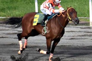 Big Lagoon nangunguna sa Presidential Gold Cup