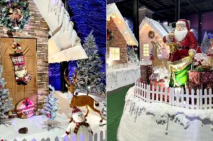 Star City Snow World