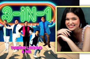 Shira Tweg 3 in 1 NET25