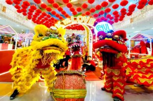 Lion Dragon dance Chinese New Year SM Bulacan malls