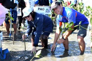 Pamahalaang Panlalawigan ng Bulacan, Eagle Cement, nagtanim ng 2,000 bakawan sa Hagonoy, Paombong