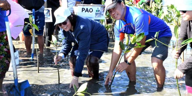 Pamahalaang Panlalawigan ng Bulacan, Eagle Cement, nagtanim ng 2,000 bakawan sa Hagonoy, Paombong