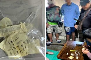 Wanted na mga criminal, drug dealer sa Bulacan kinalawit